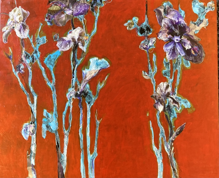 Water Irises