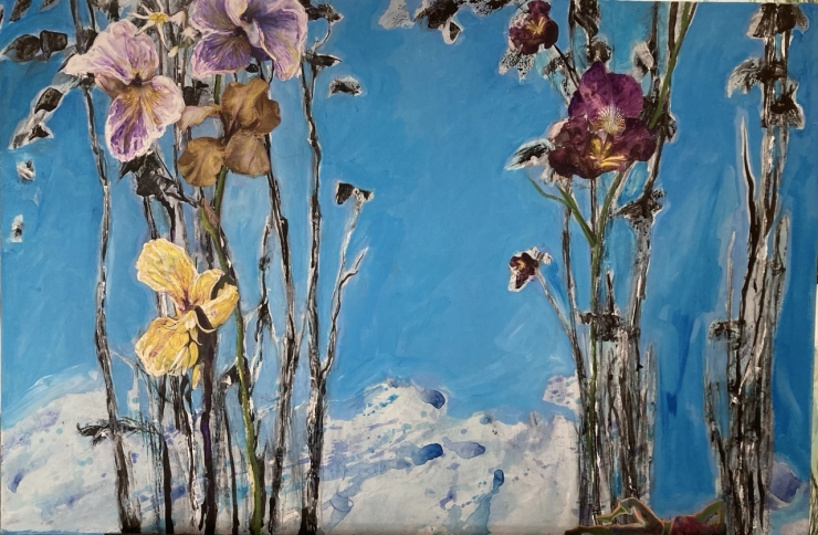 Water Irises Dreamer